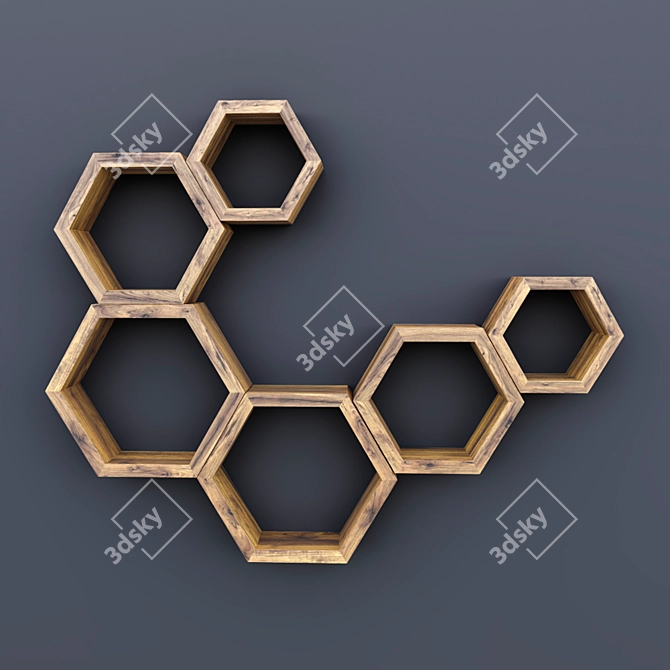 Modular Hexagon Wall Shelf 3D model image 1