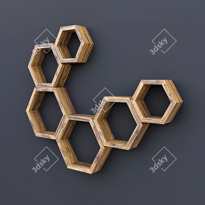 Modular Hexagon Wall Shelf 3D model image 2