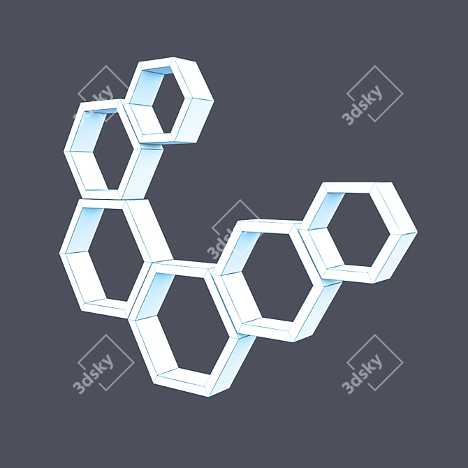 Modular Hexagon Wall Shelf 3D model image 3
