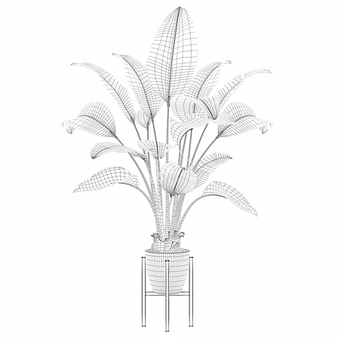 Exotic Strelitzia: Plants Collection 111 3D model image 4