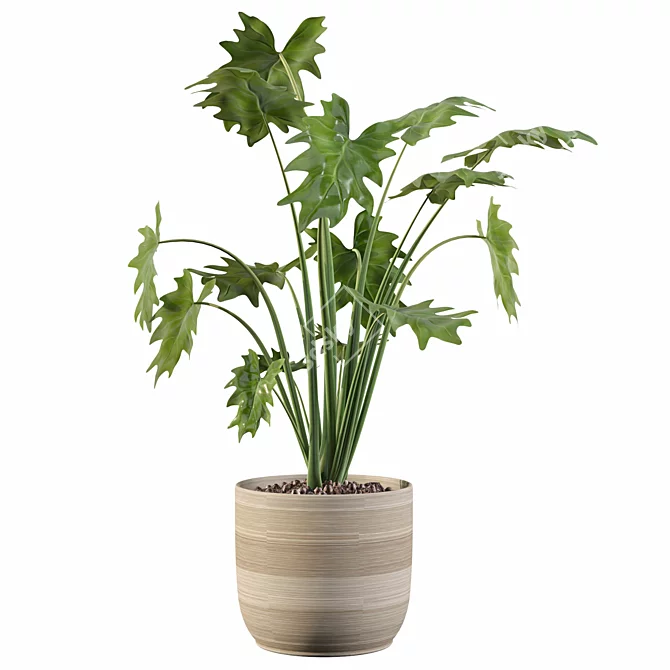 Tropical Beauty: Philodendron Xanadu 3D model image 1