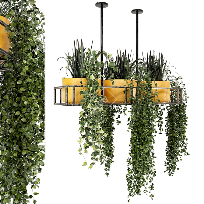 Metal Box Hanging Indoor Plants - Set of 210 3D model image 1