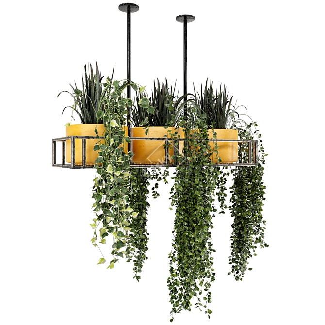 Metal Box Hanging Indoor Plants - Set of 210 3D model image 5