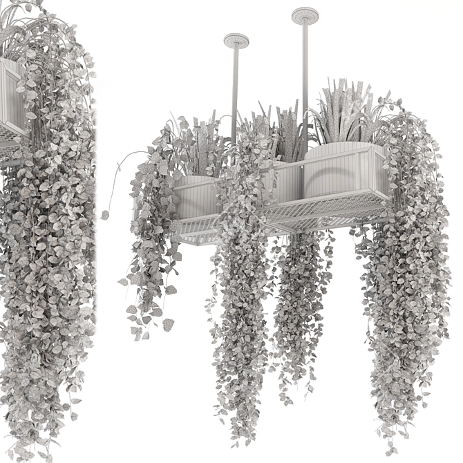 Metal Box Hanging Indoor Plants - Set of 210 3D model image 7