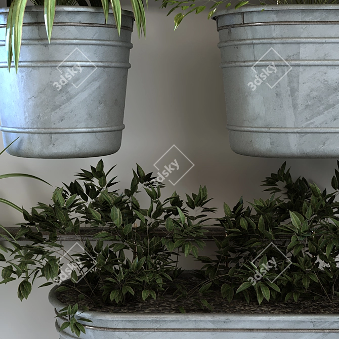 Modern Plant in Vase Set 3D model image 2