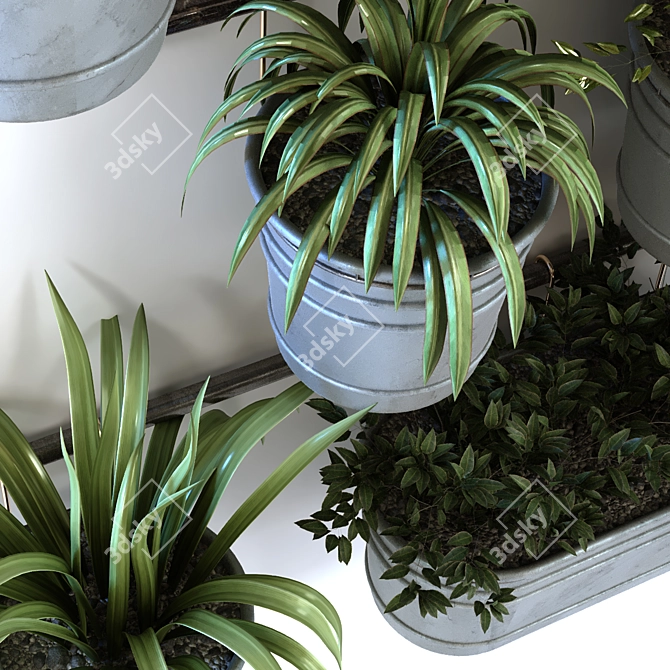 Modern Plant in Vase Set 3D model image 3