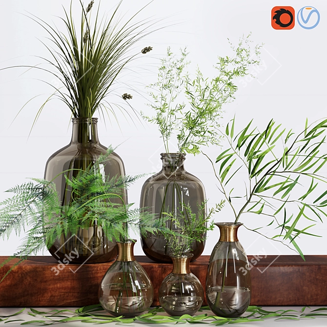 Indoor Grass Herb Plant Glass Vases 3D model image 4