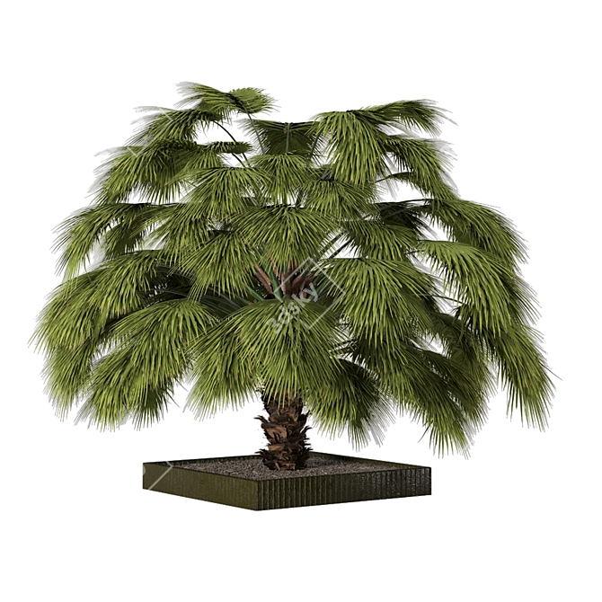Lushic Greenery Collection 3D model image 1