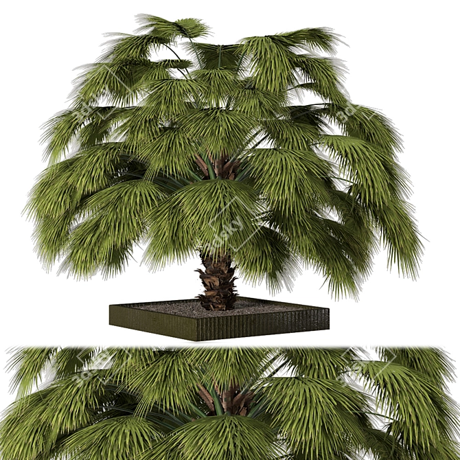 Lushic Greenery Collection 3D model image 2