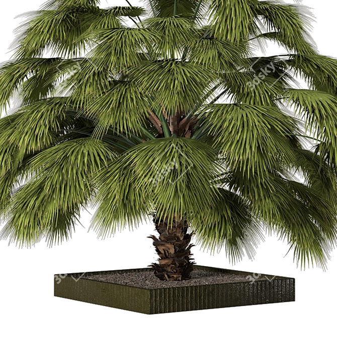 Lushic Greenery Collection 3D model image 4