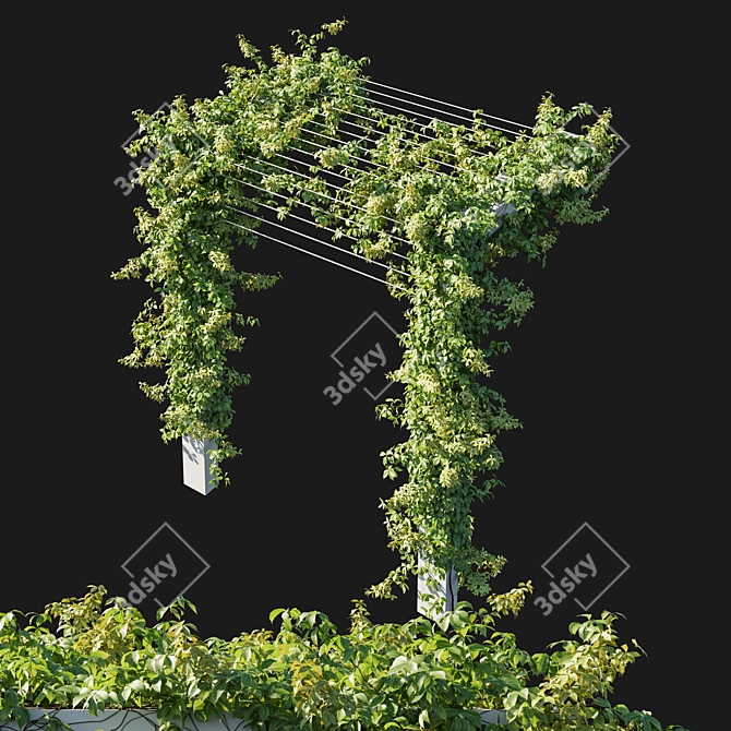 Virginia Creeper 04: 3D Model Rendered in Corona 3D model image 4