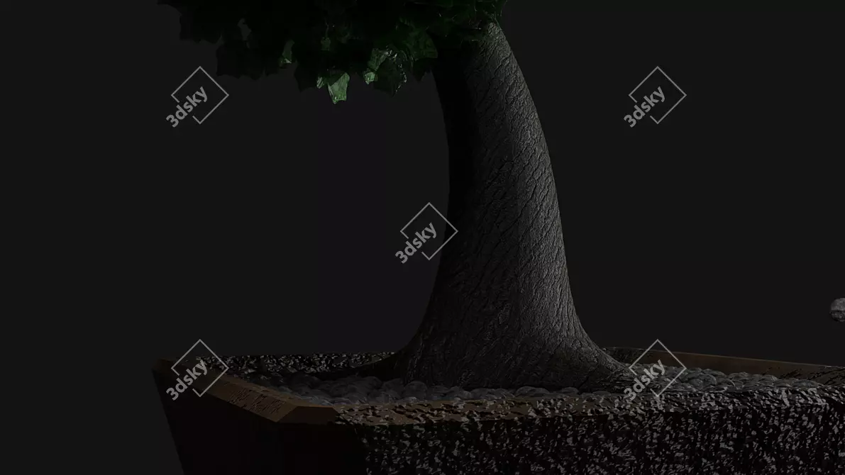 Miniature Bonsai Tree in Pot 3D model image 3