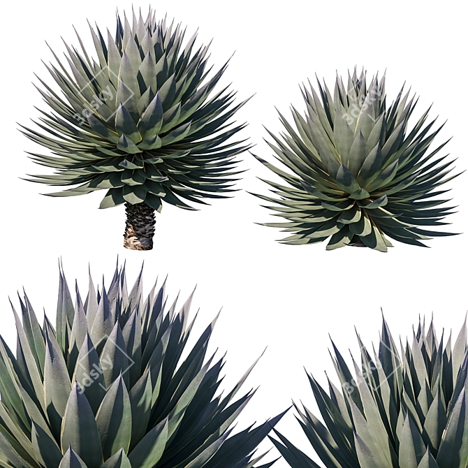 Agave Blue Glow: Stunning 2013 Design 3D model image 1