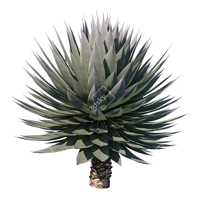 Agave Blue Glow: Stunning 2013 Design 3D model image 2