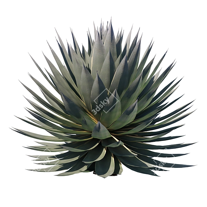 Agave Blue Glow: Stunning 2013 Design 3D model image 3