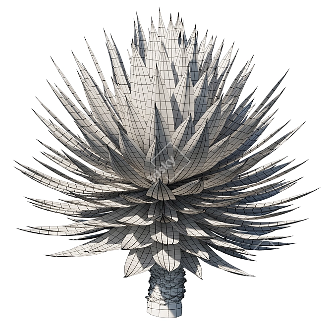 Agave Blue Glow: Stunning 2013 Design 3D model image 4