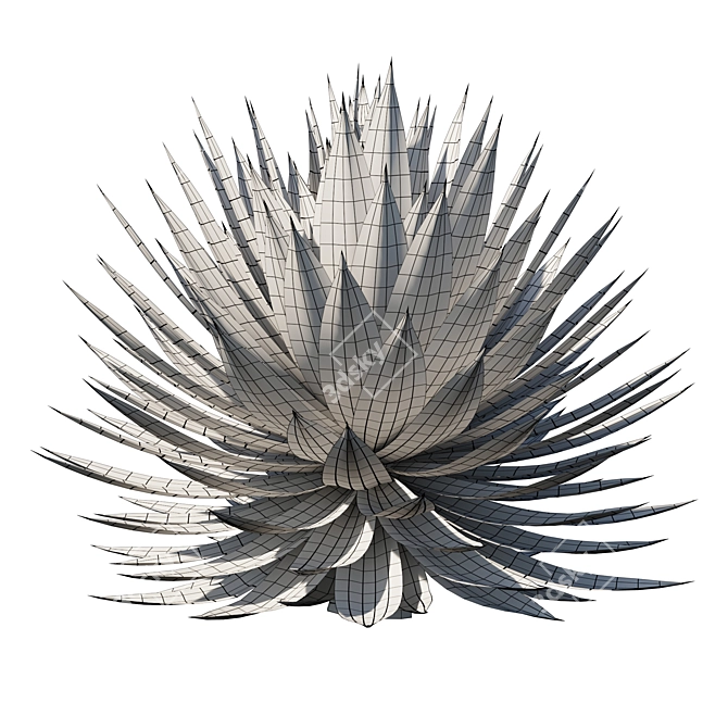 Agave Blue Glow: Stunning 2013 Design 3D model image 5