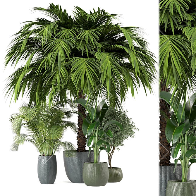 Indoor Greenery Set: 2015 Edition 3D model image 1