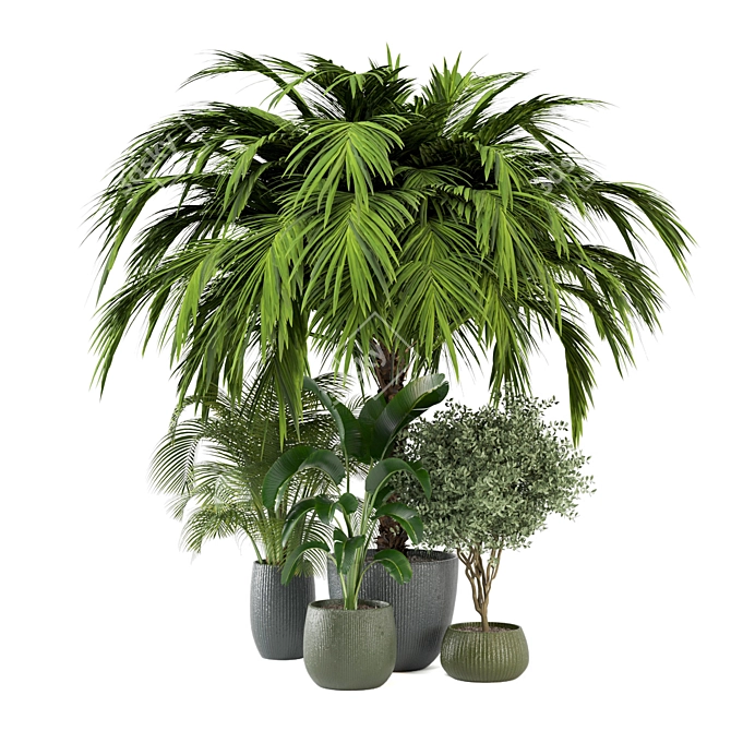 Indoor Greenery Set: 2015 Edition 3D model image 2