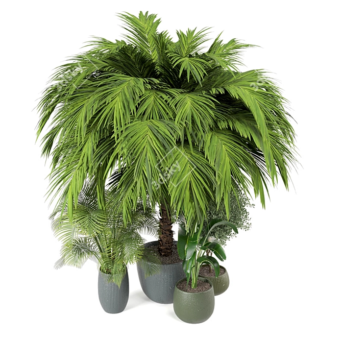 Indoor Greenery Set: 2015 Edition 3D model image 3