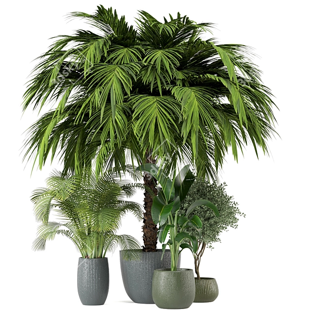 Indoor Greenery Set: 2015 Edition 3D model image 4