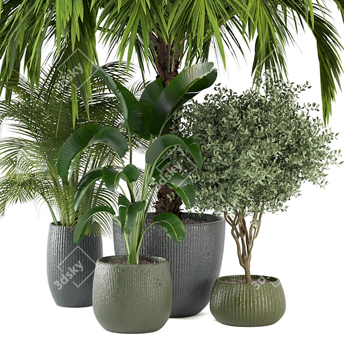 Indoor Greenery Set: 2015 Edition 3D model image 5