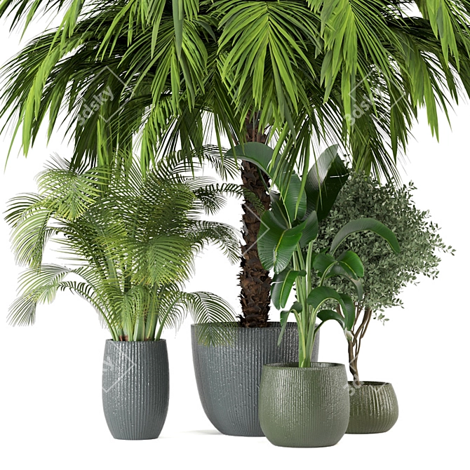 Indoor Greenery Set: 2015 Edition 3D model image 6