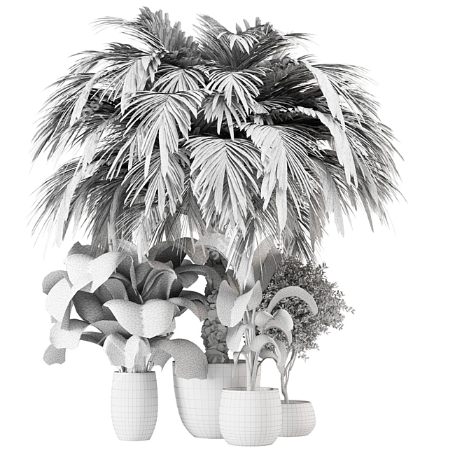 Indoor Greenery Set: 2015 Edition 3D model image 7