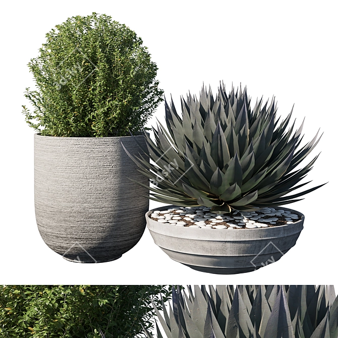 Exquisite Pot Plant Set 3D model image 1