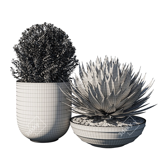 Exquisite Pot Plant Set 3D model image 3