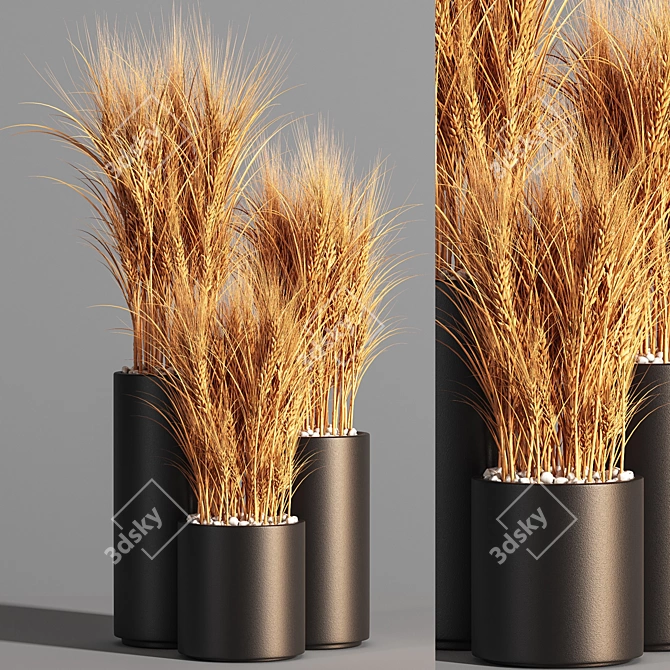 Indoor Zen Wheat Plant Set 3D model image 1