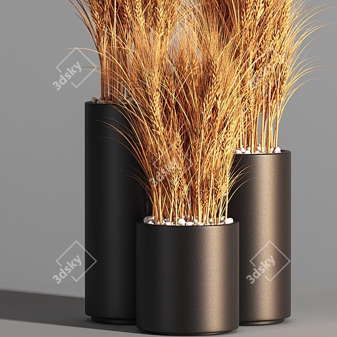 Indoor Zen Wheat Plant Set 3D model image 2