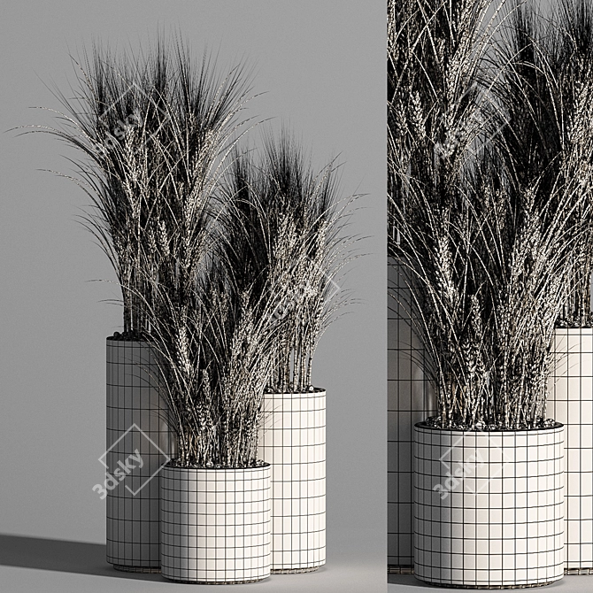 Indoor Zen Wheat Plant Set 3D model image 5