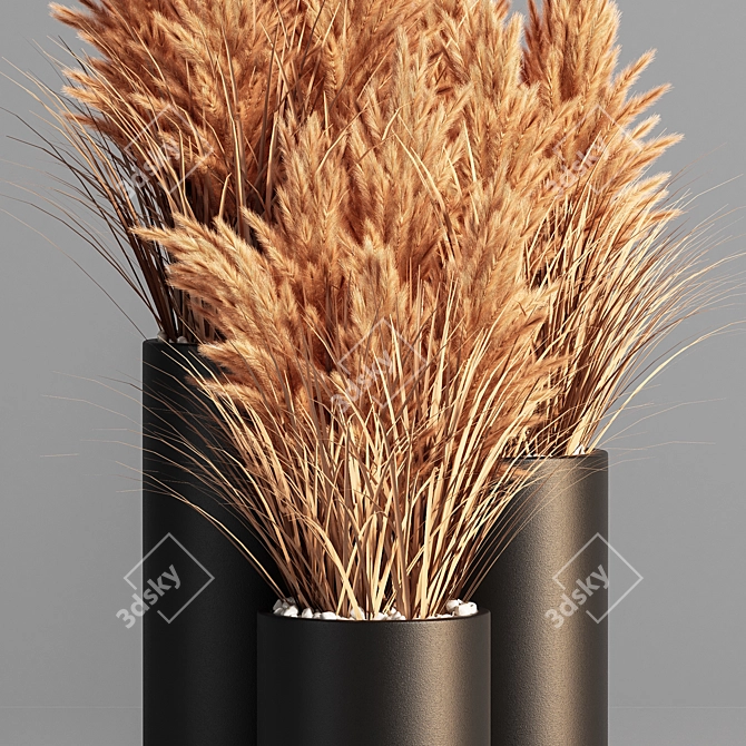 Pampas Indoor Plant Set 3D model image 3