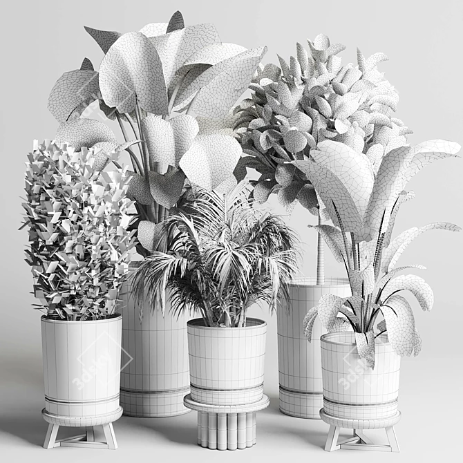 Concrete Vase Palm Tree Monstera 3D model image 6