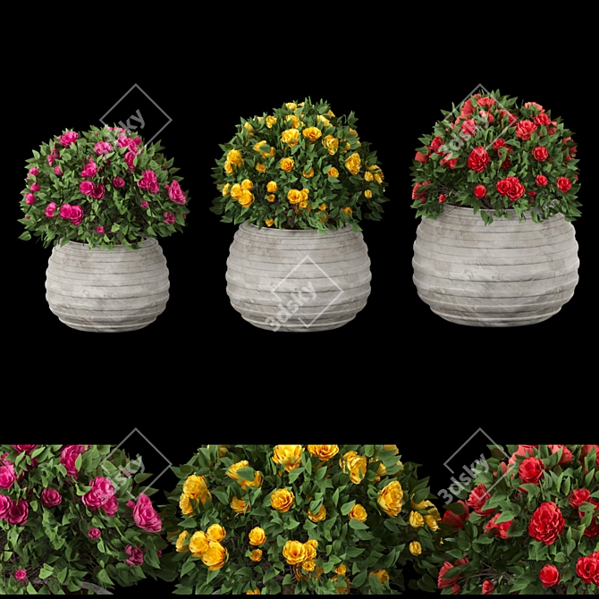 Colorful Blooming Bush Collection 3D model image 1