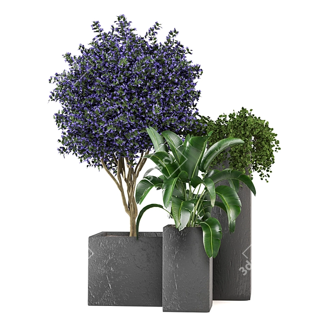 2015 Outdoor Plants Set: V-Ray/Corona 3D model image 1