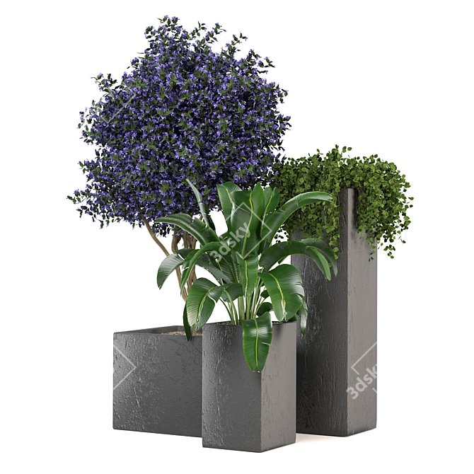 2015 Outdoor Plants Set: V-Ray/Corona 3D model image 3