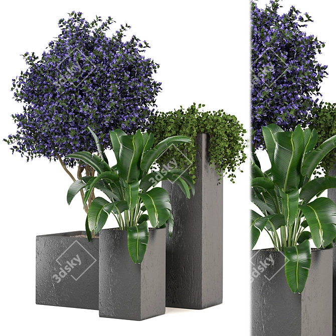 2015 Outdoor Plants Set: V-Ray/Corona 3D model image 4