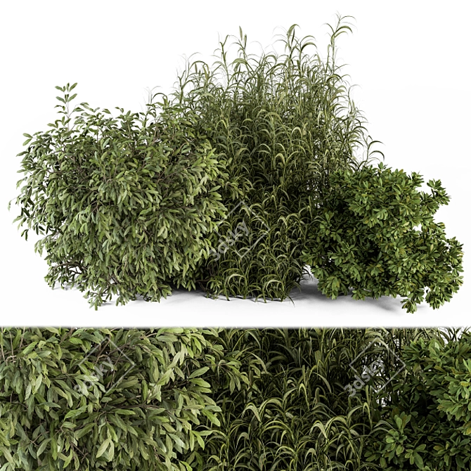 Vibrant Plant Mix - Set 37 3D model image 1