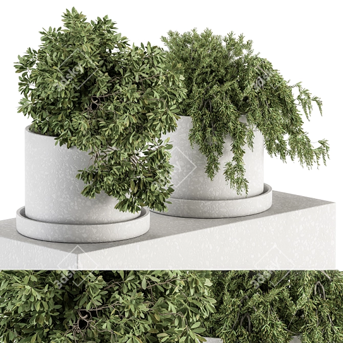 Green Oasis: Small Indoor Plant Set 3D model image 1