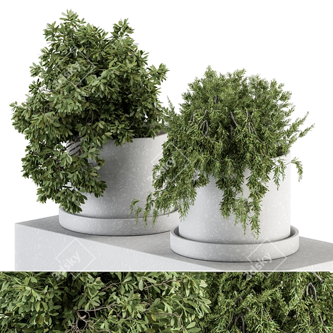 Green Oasis: Small Indoor Plant Set 3D model image 2