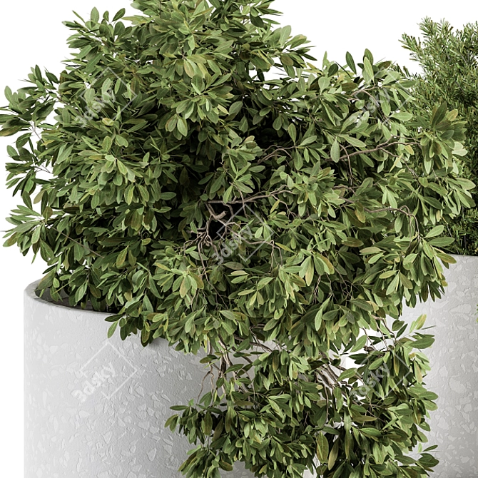 Green Oasis: Small Indoor Plant Set 3D model image 3