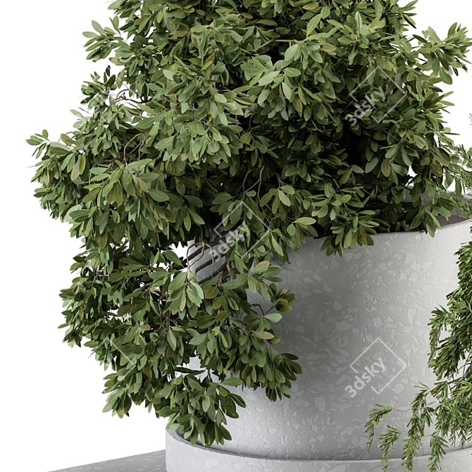 Green Oasis: Small Indoor Plant Set 3D model image 5