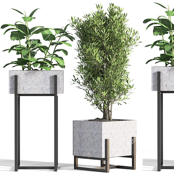 Nature's Oasis: Indoor Plant Set 3D model image 1