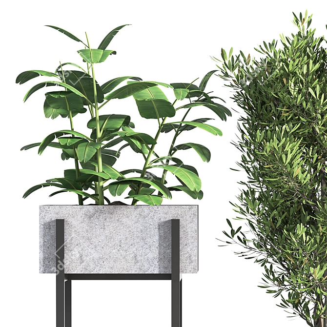 Nature's Oasis: Indoor Plant Set 3D model image 2