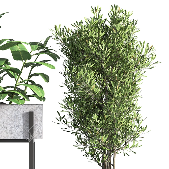 Nature's Oasis: Indoor Plant Set 3D model image 3