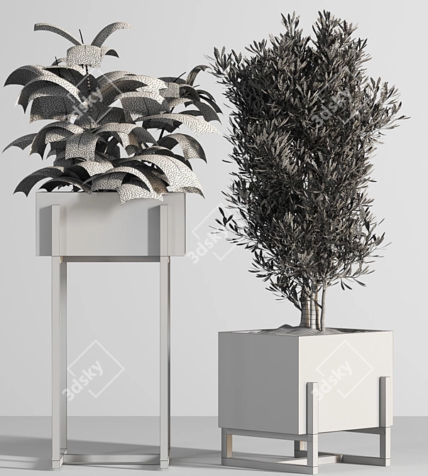 Nature's Oasis: Indoor Plant Set 3D model image 5