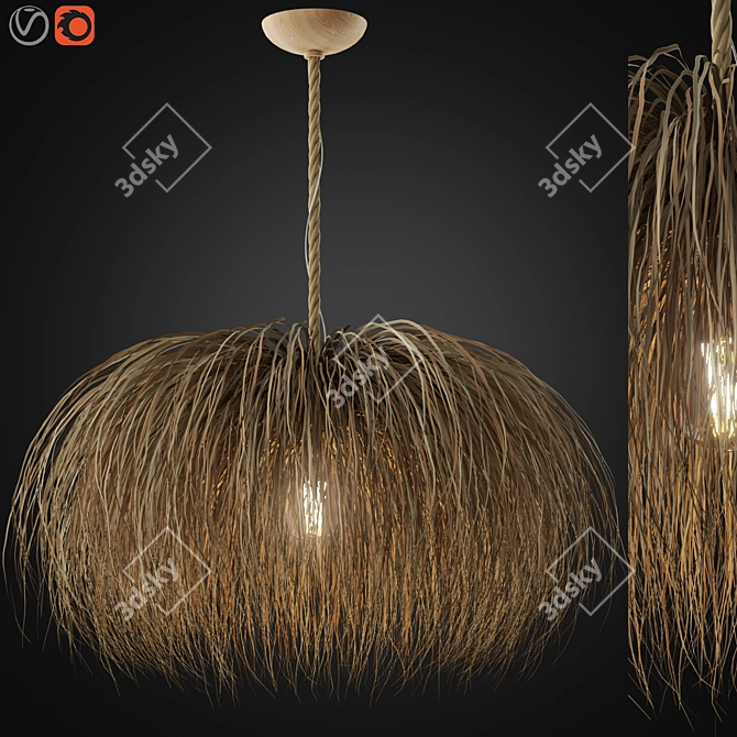 Zagg Ceiling Lamp 08 Design 3D model image 1