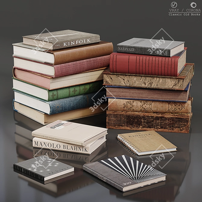 Vintage Literature Bundle | Classic Old Books 3D model image 1